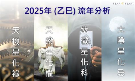 流年貪狼化忌|2025年，乙巳年，紫微斗數流年運勢分析，詳細介。